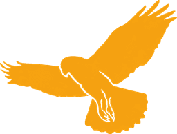 HustleHawk
